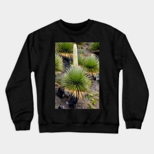 Pérou - Huaraz - Puya  Raymondii Crewneck Sweatshirt